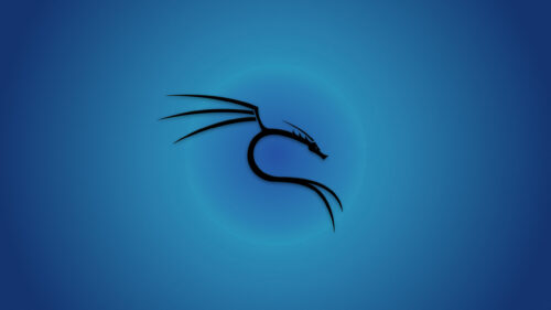 Minimalist Kali Linux Dragon Logo Blue Gradient Desktop Wallpaper