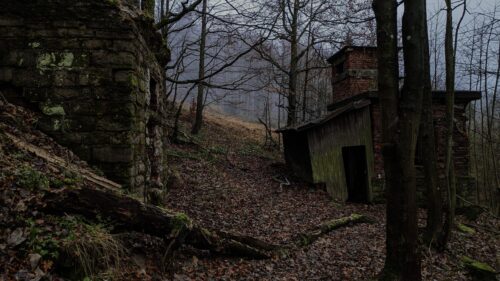 Misty Abandoned Forest Ruins Moody Landscape PC Wallpaper
