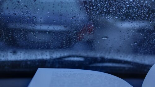 Cozy Rainy Day Reading Inside Car Interior Desktop Wallpaper