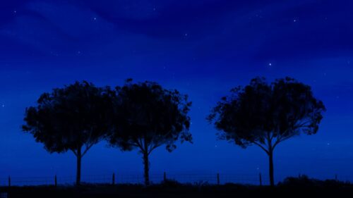 Minimalist Blue Night Sky with Silhouetted Trees PC Wallpaper