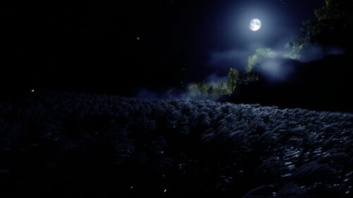 Stunning Night Landscape with Full Moon over Misty Field PC Wallpaper