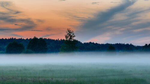 Misty Meadow at Sunset with Golden Sky Over Forest PC Wallpaper