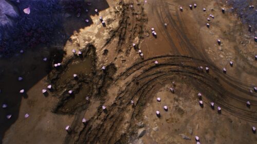 Top Down Muddy Ground with Fallen Petals PC Wallpaper