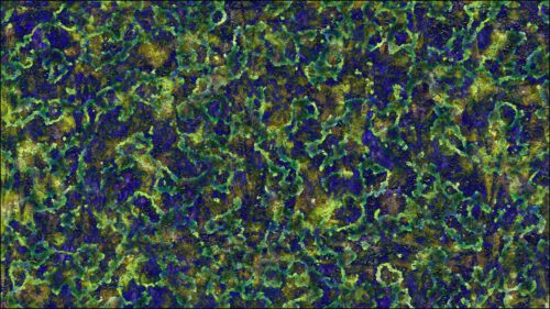 Abstract Neon Green and Deep Blue Organic Texture Desktop Wallpaper