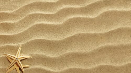 Minimalist Beach Sand Texture with Starfish 4K PC Wallpaper