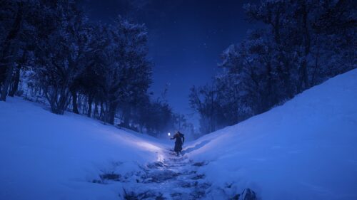 Lone Traveler in Snowy Winter Night Forest PC Wallpaper