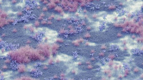 Surreal Purple Grass and Flora Aesthetic Desktop Wallpaper
