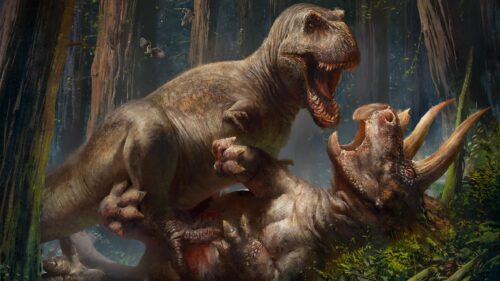 Epic Tyrannosaurus Rex vs Triceratops Prehistoric Battle Desktop Wallpaper