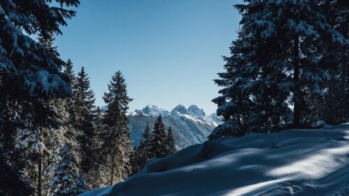 Breathtaking Snowy Mountain Peaks and Winter Pine Forest PC Wallpaper