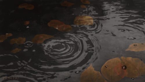 Melancholic Autumn Rain Puddles and Fallen Leaves Aesthetic PC Wallpaper