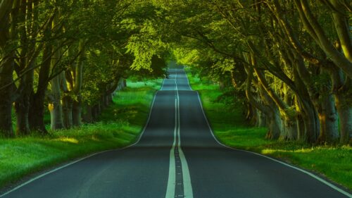 Stunning Country Road Through Lush Green Tree Tunnel Desktop Wallpaper