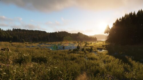 Golden Sunset Over Serene Marshland and Pine Forest Desktop Wallpaper