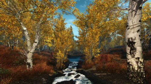 Breathtaking Autumn Forest Creek Landscape PC Wallpaper