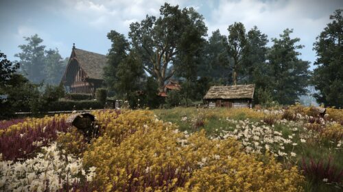 Rustic Medieval Village Landscape with Wildflower Field PC Wallpaper