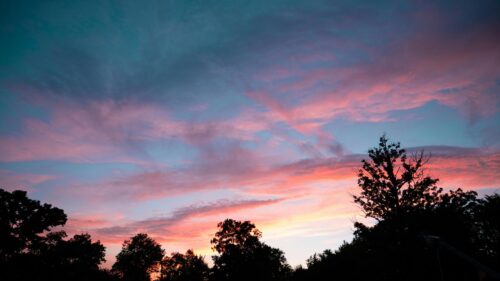 Stunning Pink and Blue Sunset Sky Over Tree Silhouettes 4K Wallpaper