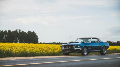 Stunning Classic Blue Ford Mustang Convertible in a Yellow Flower Field 4K Wallpaper