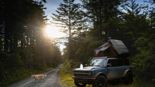 Ford Bronco Overlanding Adventure in Forest at Sunset 4K Wallpaper