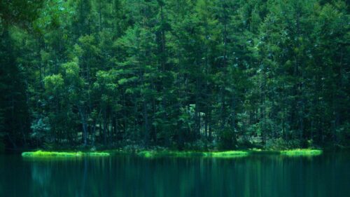 Enchanting Forest Lake Reflection 4K Desktop Wallpaper