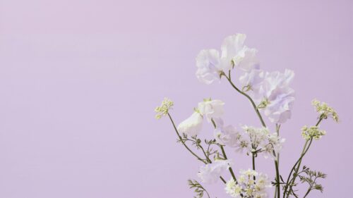 Elegant Pastel Sweet Pea Floral Bouquet 4K Desktop Wallpaper