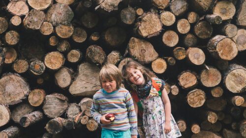 Funny Children Posing Before Stack of Logs Desktop Wallpaper