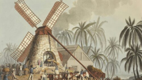 Historical Plantation Sugar Mill with Oxen Cart 4K Desktop Wallpaper