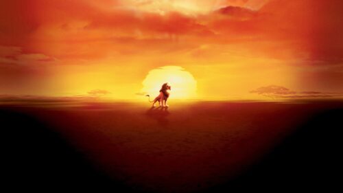 Majestic Lion King Silhouette Over Burning Golden Sunset 4K Desktop Wallpaper