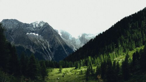 Majestic Alpine Valley and Pine Forest Landscape 4K Wallpaper