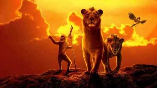 Majestic Lion King Silhouette Over Savanna Sunset High Definition Desktop Wallpaper
