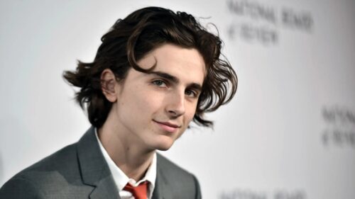 Cinematic Portrait of Timothee Chalamet High Definition 4K PC Wallpaper