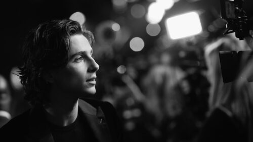 Stunning Timothee Chalamet High Definition Portrait for Desktop Wallpaper