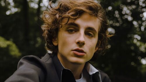 Timothee Chalamet Cinematic Portrait High Resolution Desktop Wallpaper