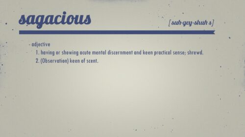 Sagacious Definition Typography Minimalist Desktop Wallpaper