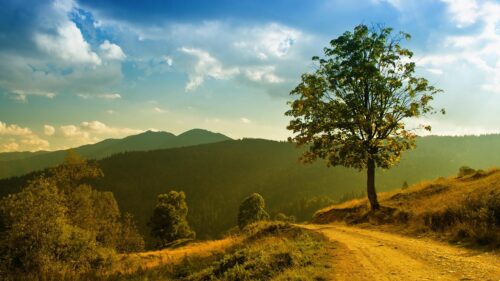 Stunning Golden Hour Mountain Landscape with Lone Tree Desktop Wallpaper