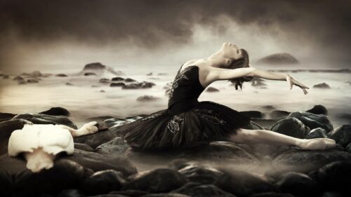 Elegant Ballerina in Black Tutu with Swan by the Sea Desktop Wallpaper
