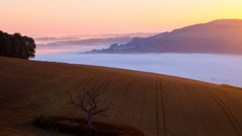 Serene Morning Mist Over Golden Rolling Hills 4K Wallpaper