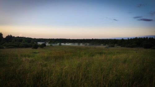 Misty Meadow at Dawn Scenic Landscape 4K Wallpaper