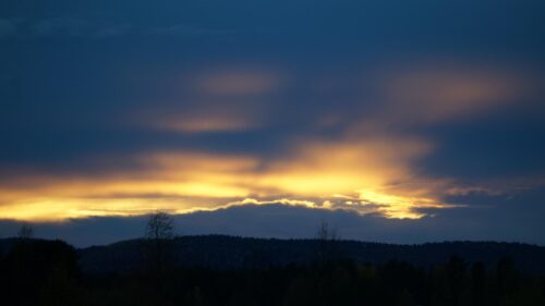 Stunning Golden Hour Sunset Over Dark Forest Landscape 4K Wallpaper