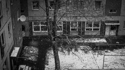 Black and White Snowy Urban Courtyard Winter PC Wallpaper