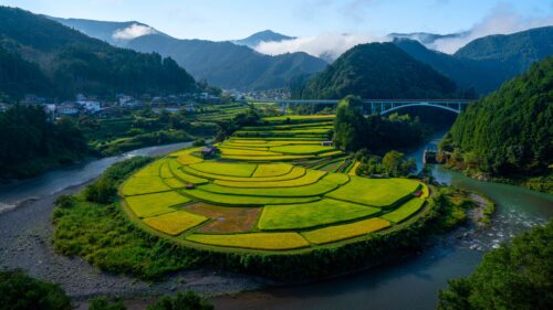 Breathtaking Japan Rice Terrace Landscape and River Valley 4K Wallpaper