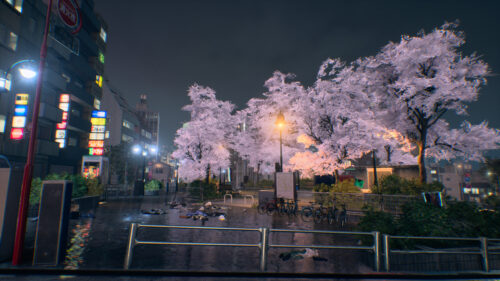 Stunning Nighttime Tokyo Streets with Glowing Cherry Blossoms PC Wallpaper