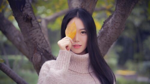Beautiful Asian Girl Holding Autumn Leaf Portrait Desktop Wallpaper