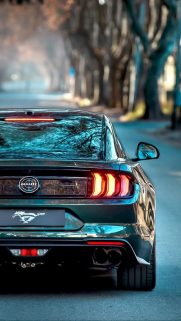 Back View Supercars HD Wallpapers Download free Bestwallpapers.net (13)