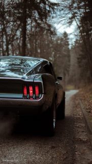 Back View Supercars HD Wallpapers Download free Bestwallpapers.net (6)
