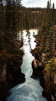 Best of New Nature Phone HD Wallpapers Download Free (2)