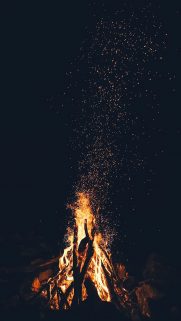 BestWallpapers-Download-Free-HD-Wallpapers-Android-iPhone-ios-Desktop (12)