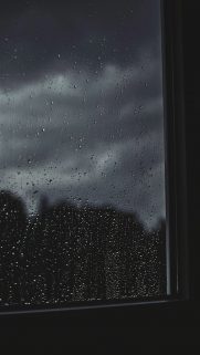 BestWallpapers-Download-Free-HD-Wallpapers-Android-iPhone-ios-Desktop (3)