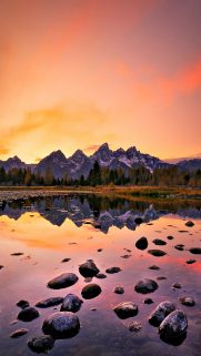65 NATURAL IPHONE WALLPAPERS FOR THE NATURE LOVERS