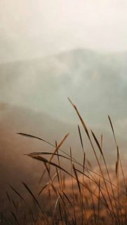 90+ Travel Phone HD Wallpapers Free Download-Bestwallpapers (24)