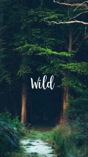 90+ Travel Phone HD Wallpapers Free Download-Bestwallpapers (26)