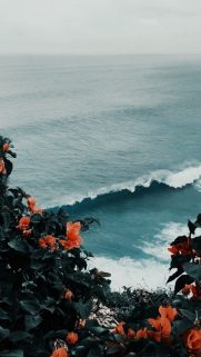 90+ Travel Phone HD Wallpapers Free Download-Bestwallpapers (32)